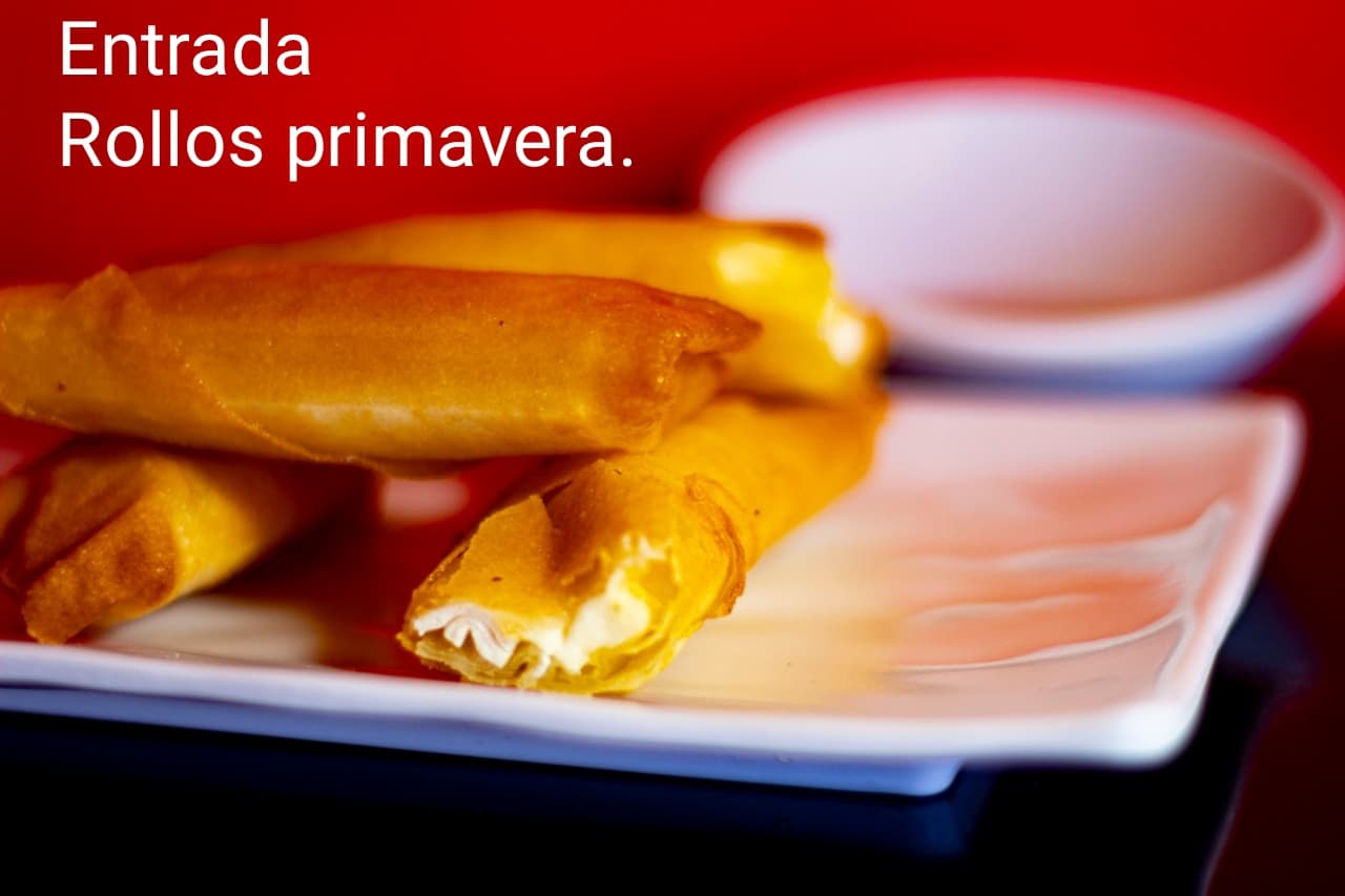 Rollos Primavera Thai