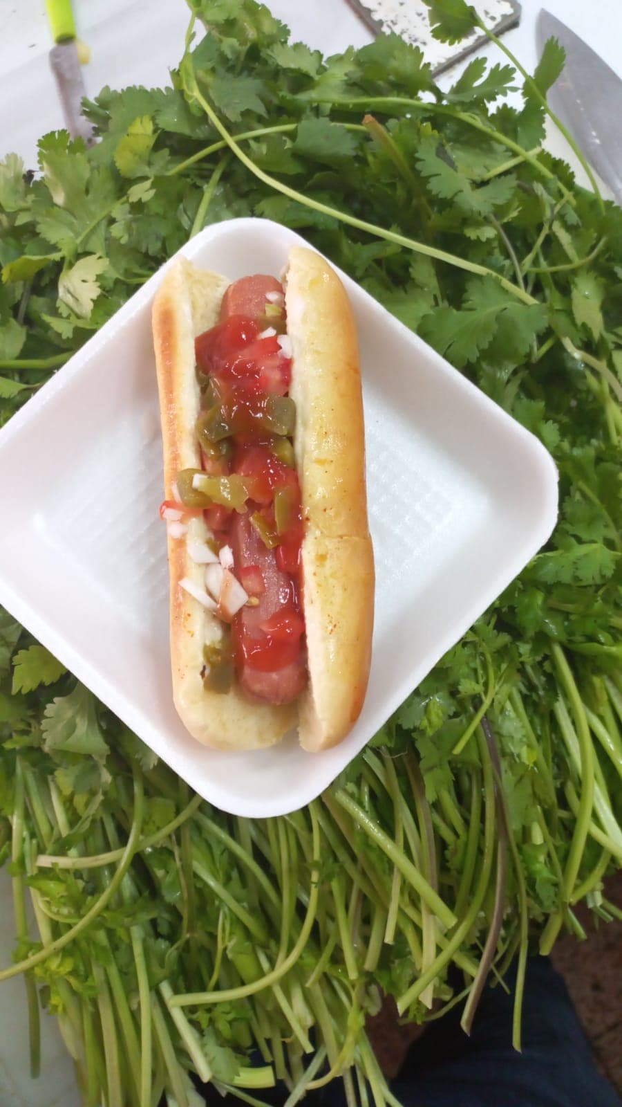 Hot Dogs Sencillo