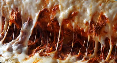 Quesadilla Chilorio