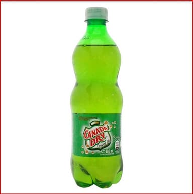 Canada Dry 600 ml