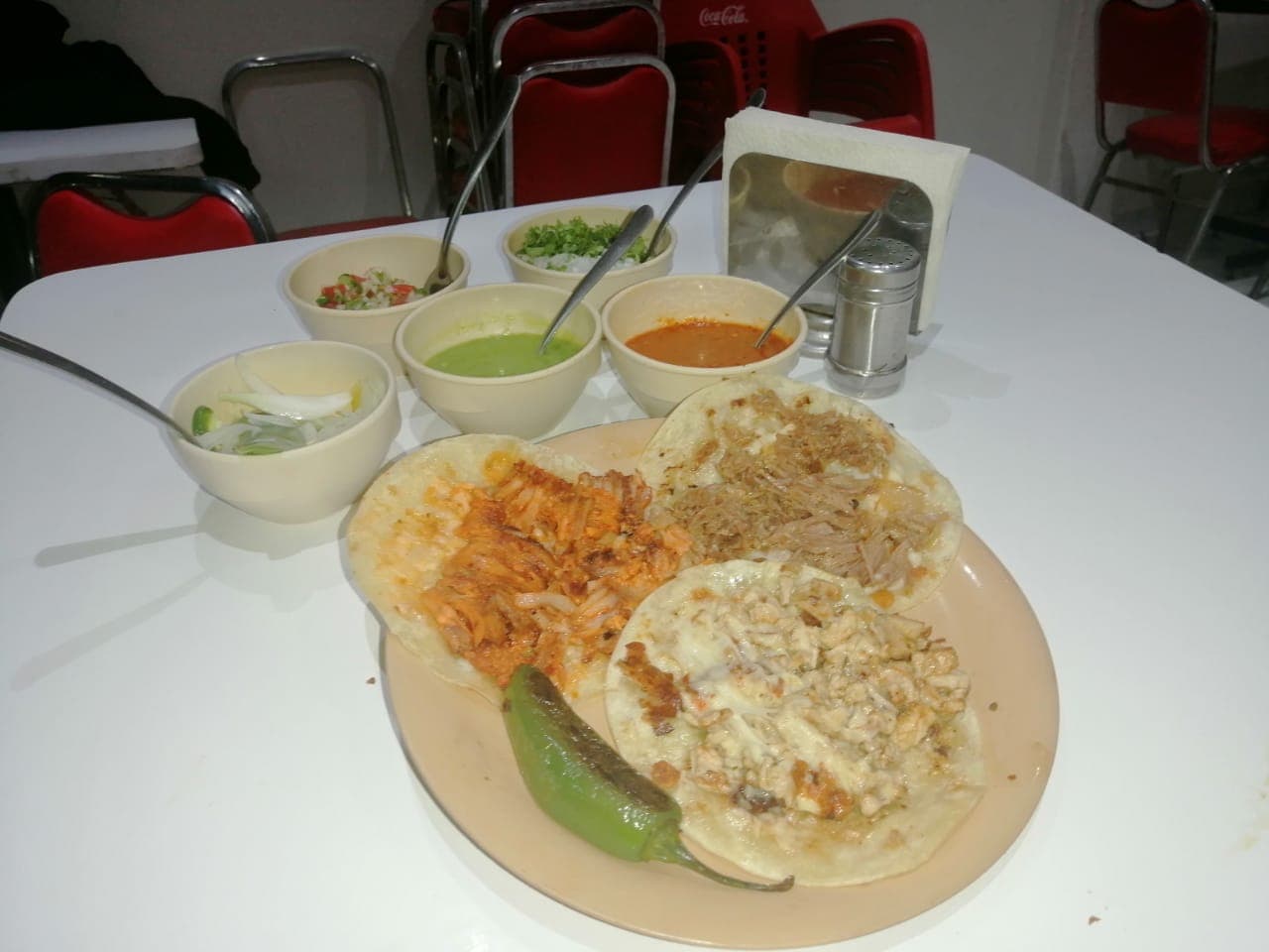 Gringa de Alambre