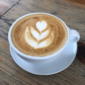 Café 12 oz