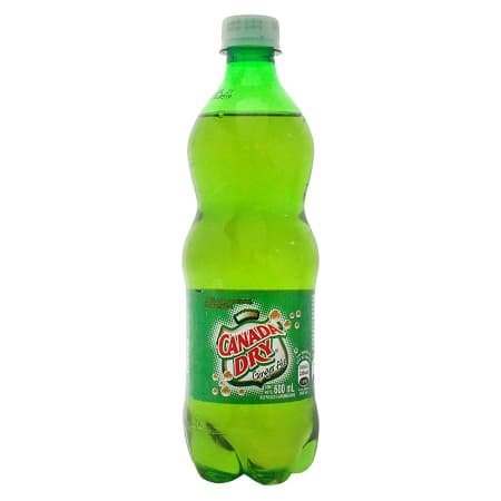 Ginger Ale 600 ml