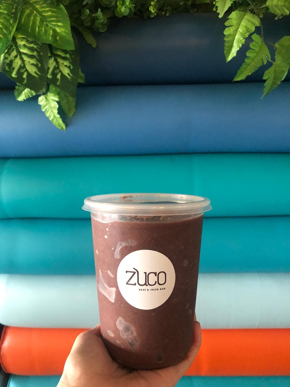Litro de Acai