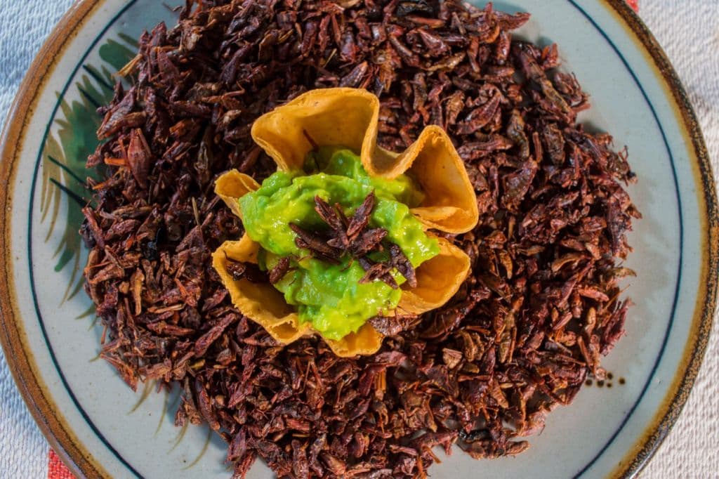 Chapulines