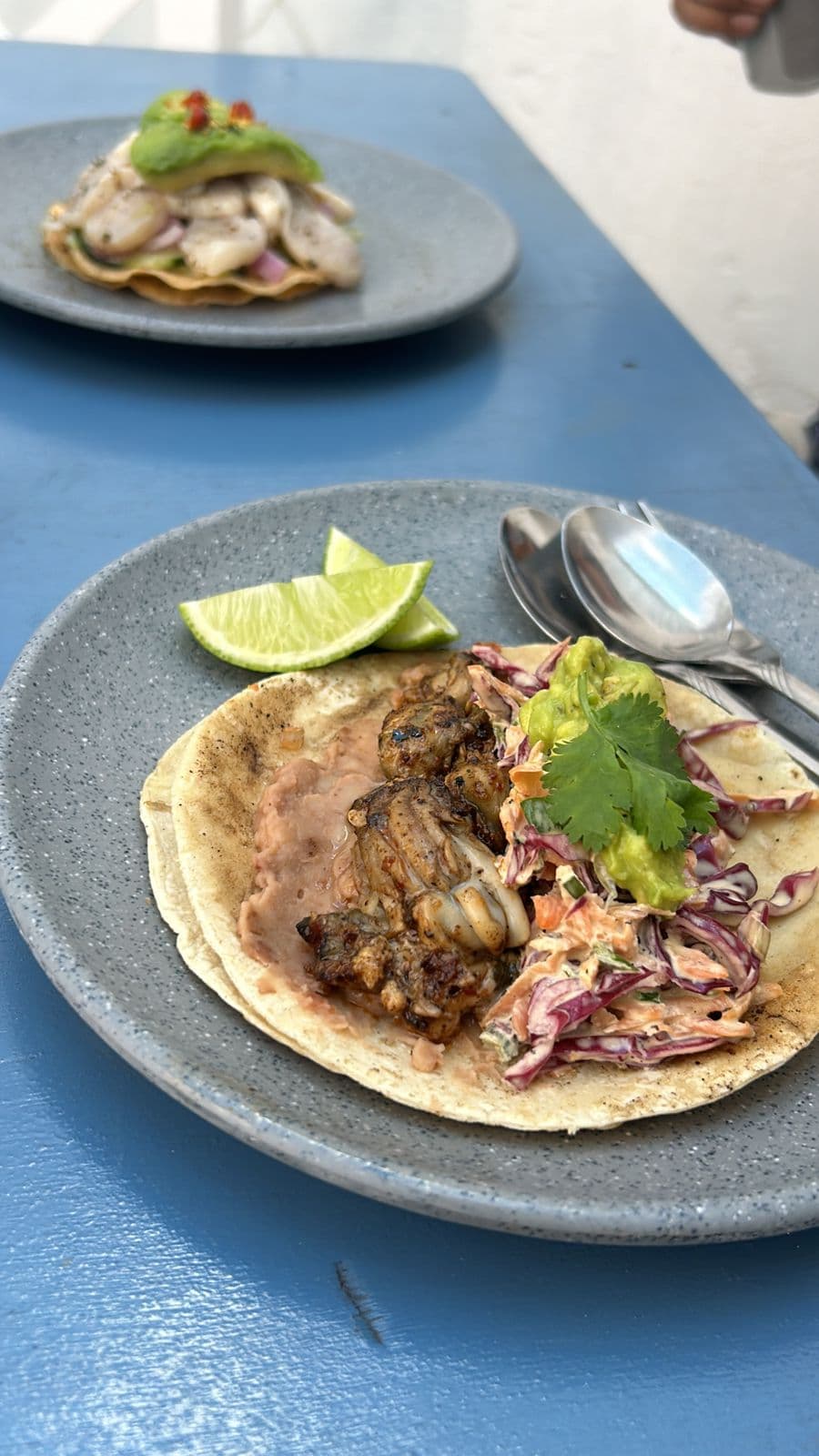 TACO DE ARRACHERA