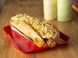 Choriperro