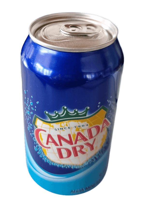 Agua Mineralizada 355 ml