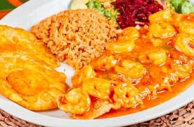 Tilapia
