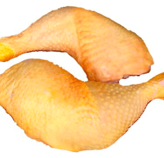 PIERNA Y MUSLO