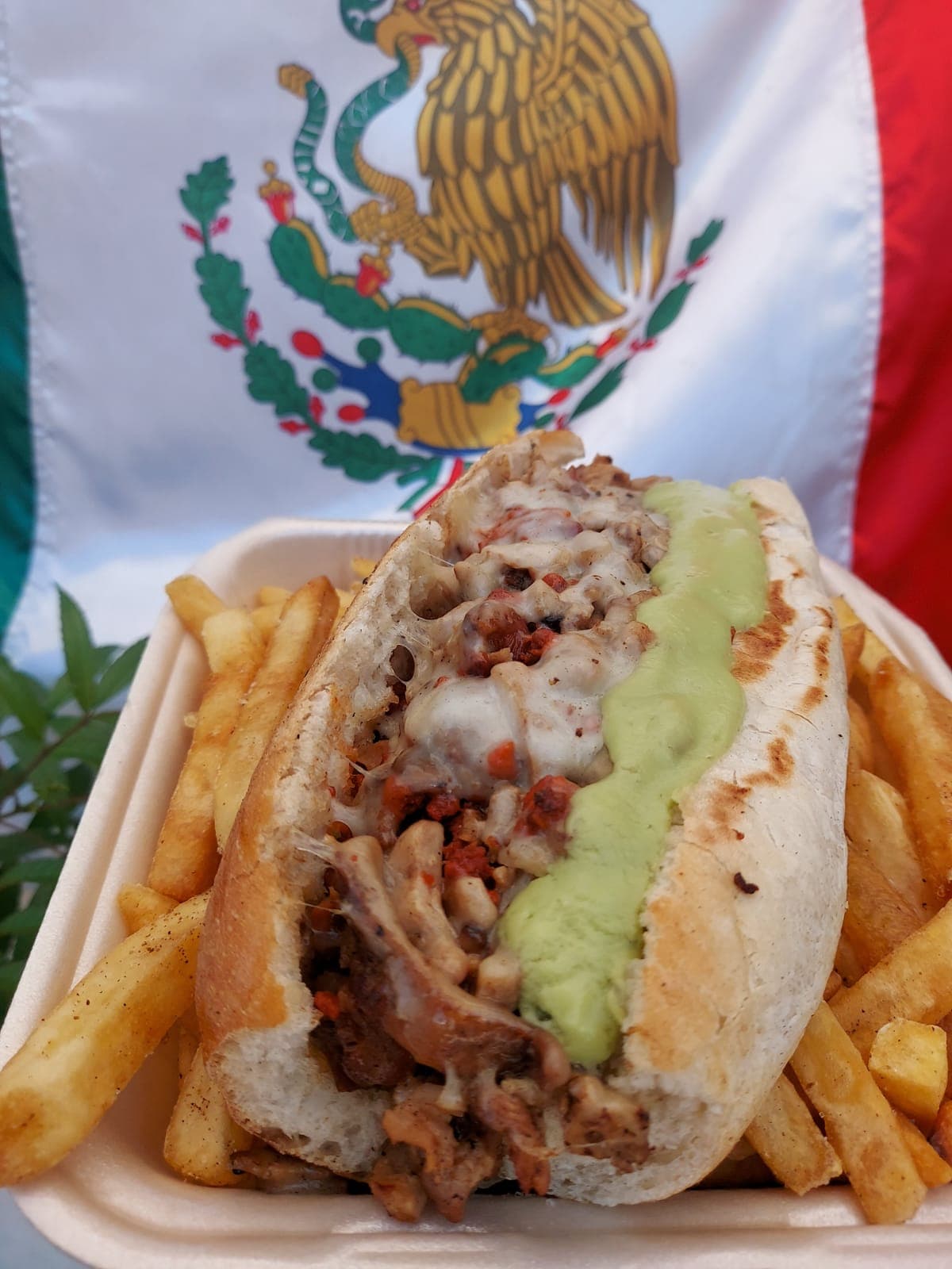 Pata de Perro NIVEL DIOS