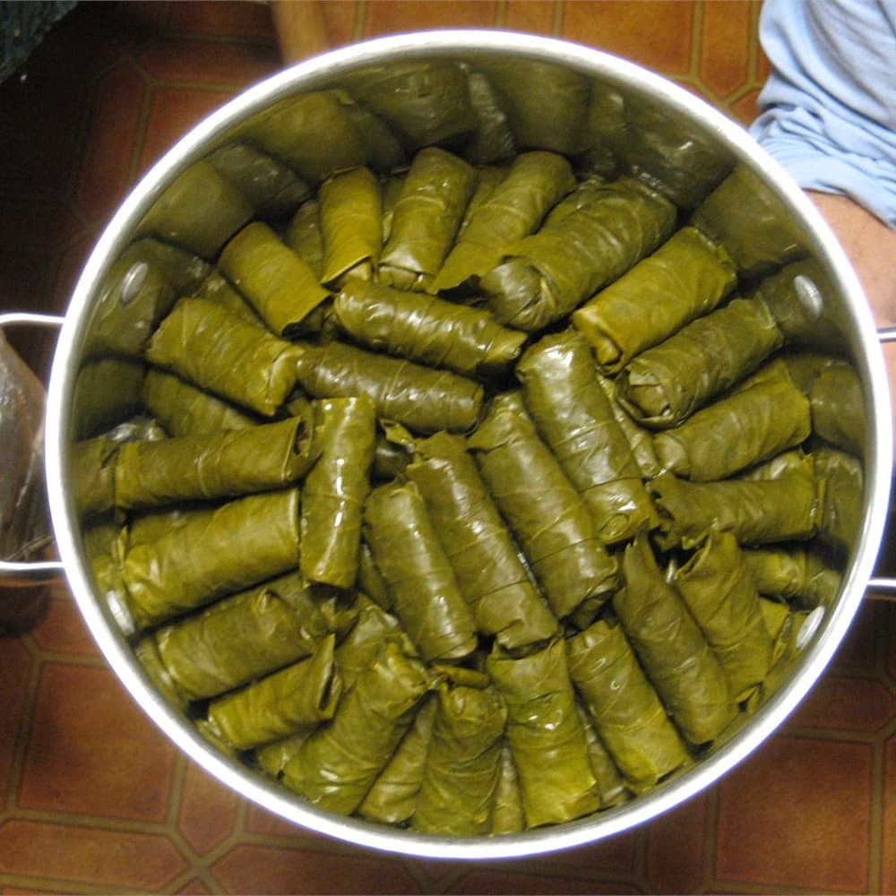 10 Hojas de Parra