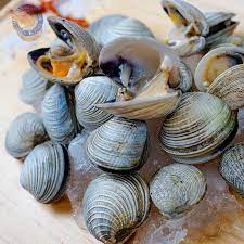 Almeja Chirla 1 Kg