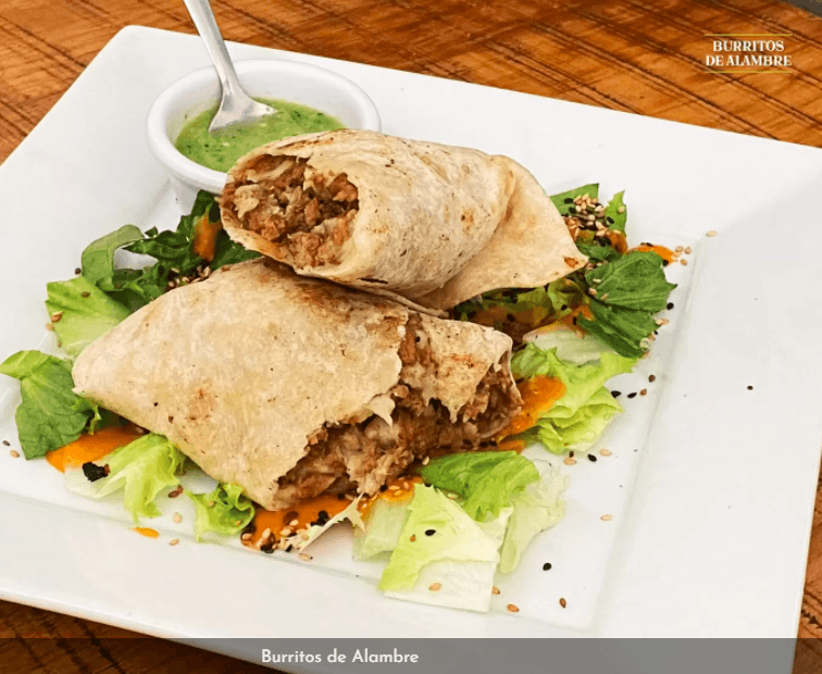 Burrito de Alambre