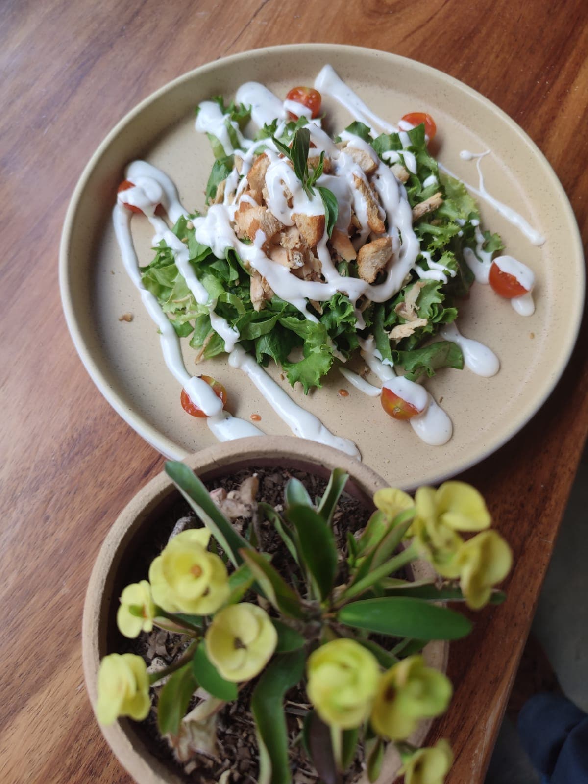 Ensalada Cesar con Pollo
