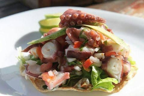 Tostada de Pulpo