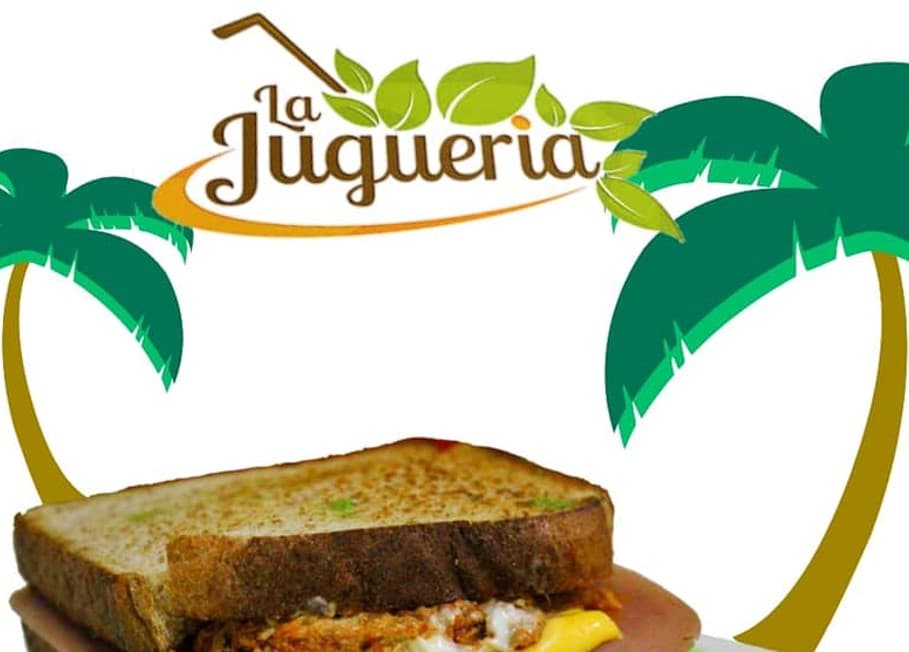 Sándwich de Pollo Especial