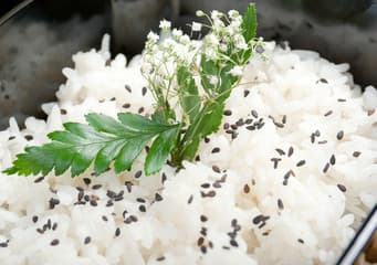 Arroz Gohan