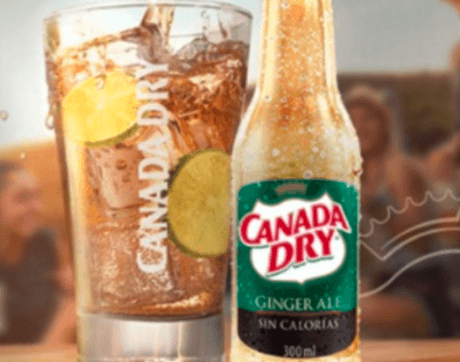 Gaseosa Canadá Dry 300 ml