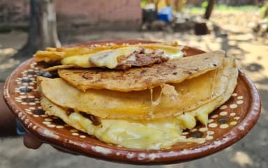 Sincronizada de Birria