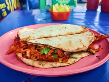 Gringa Mixta (Pastor y Árabe) *