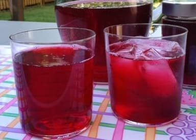 Agua de Jamaica 1L