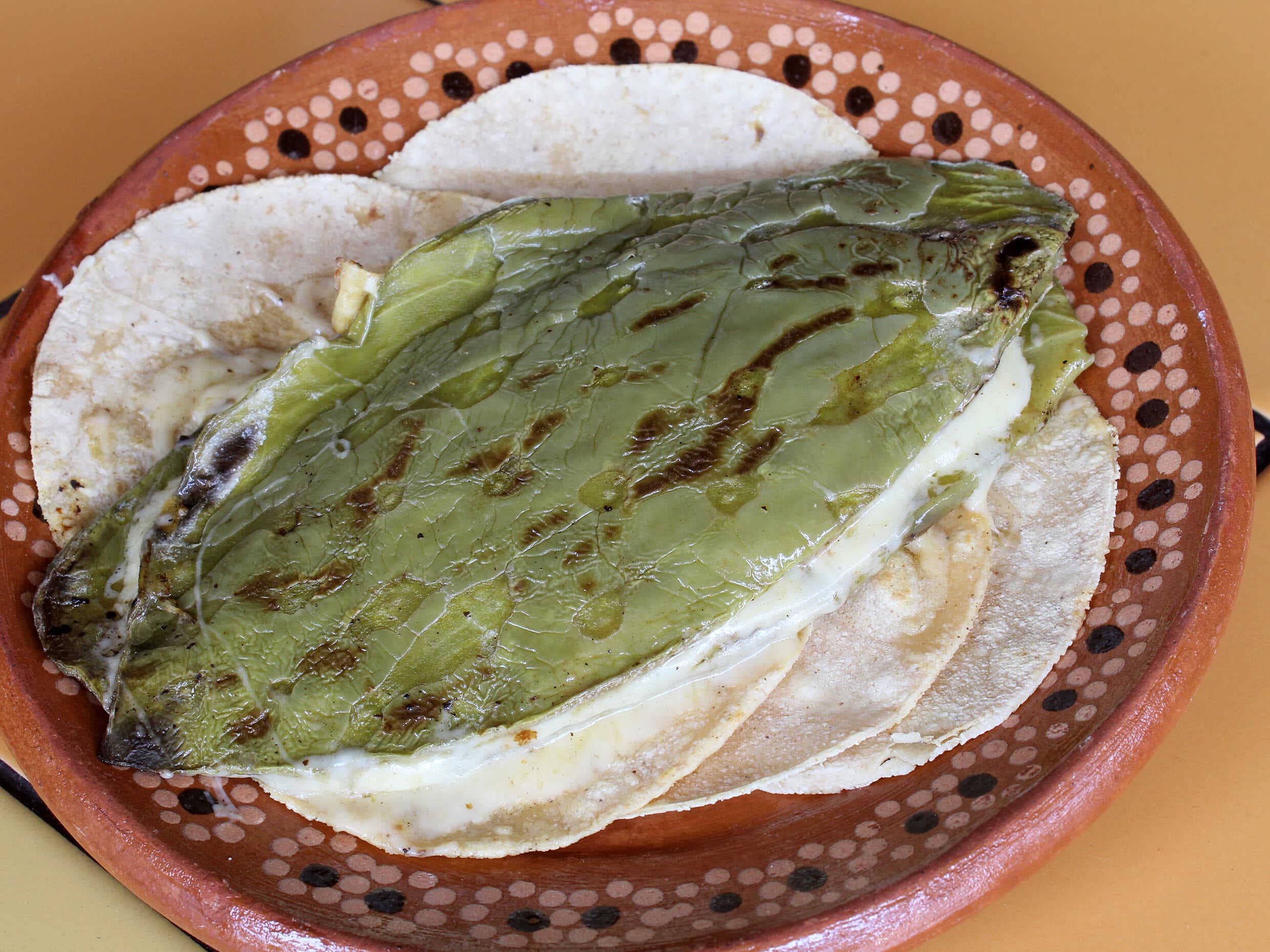 Nopal Azteca
