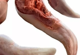 Lengua de Res