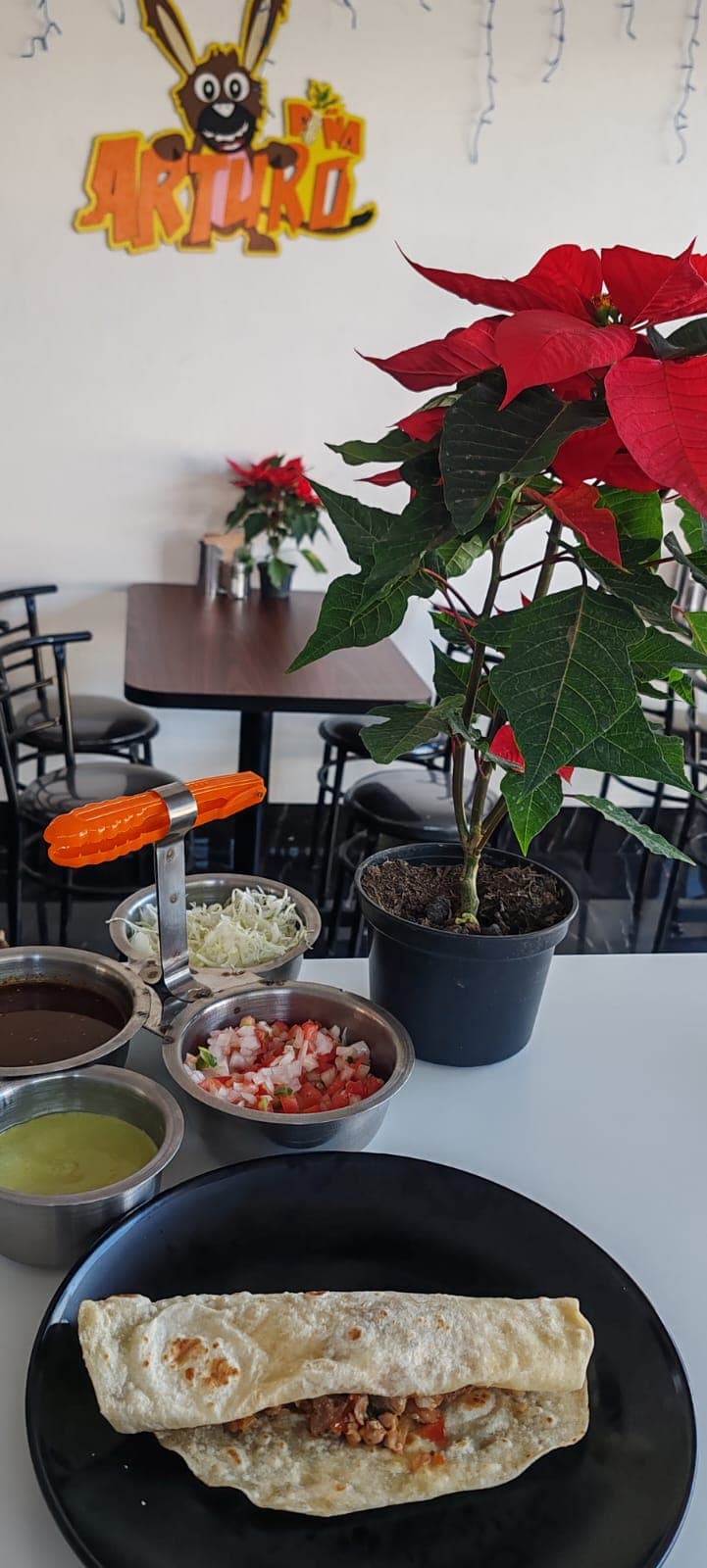 Burrito de Bistec