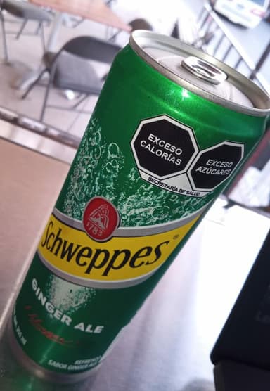 Ginger Ale 355ml