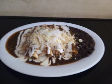Enchilada Tradicional de Pollo