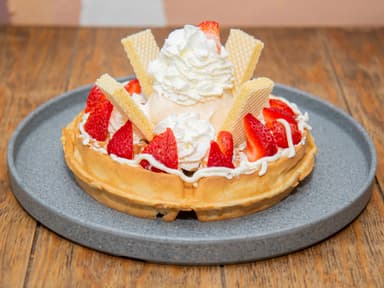 Waffle Philadelphia