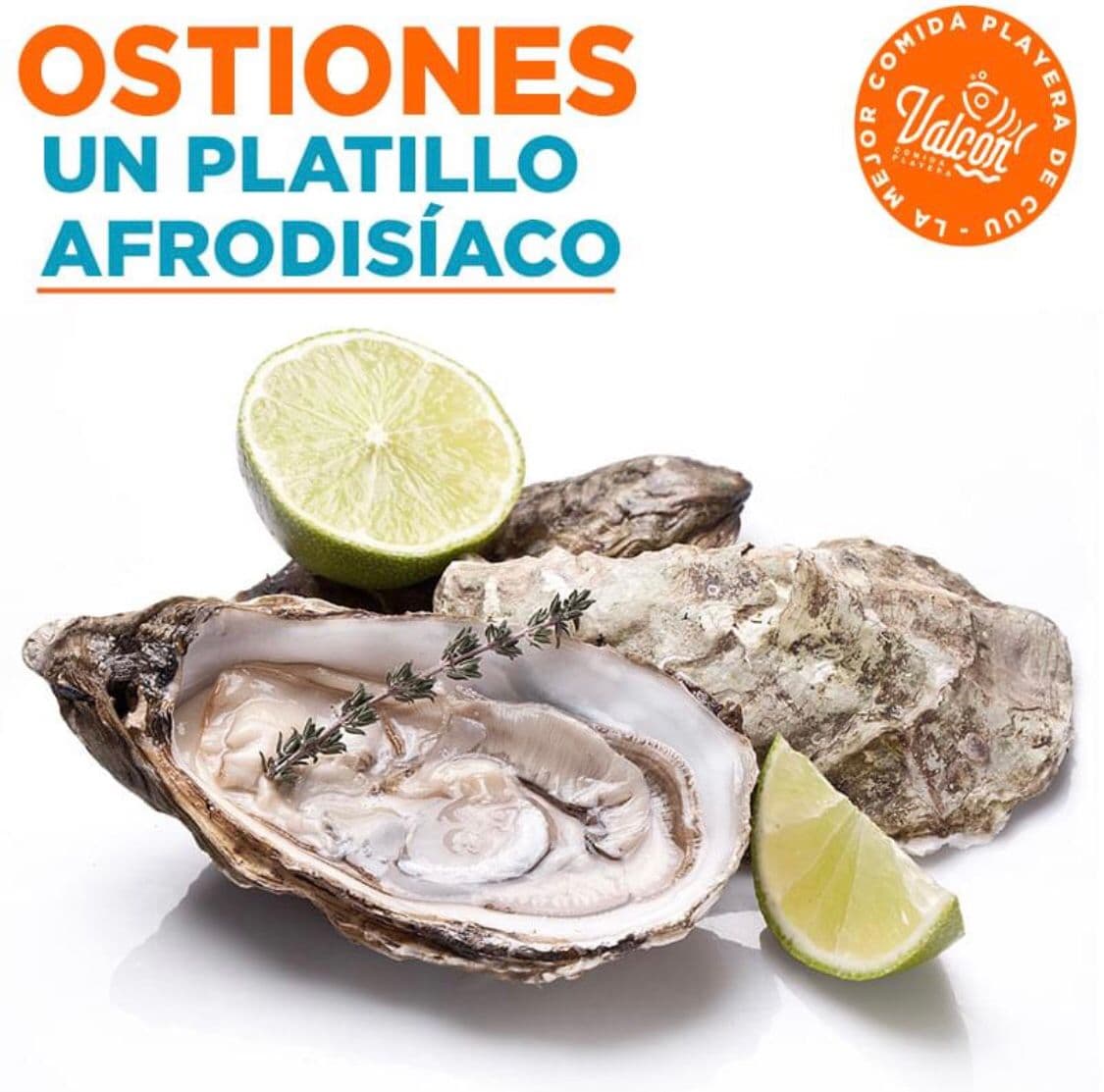 Ostión en Concha