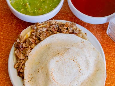 Gringa de Arrachera
