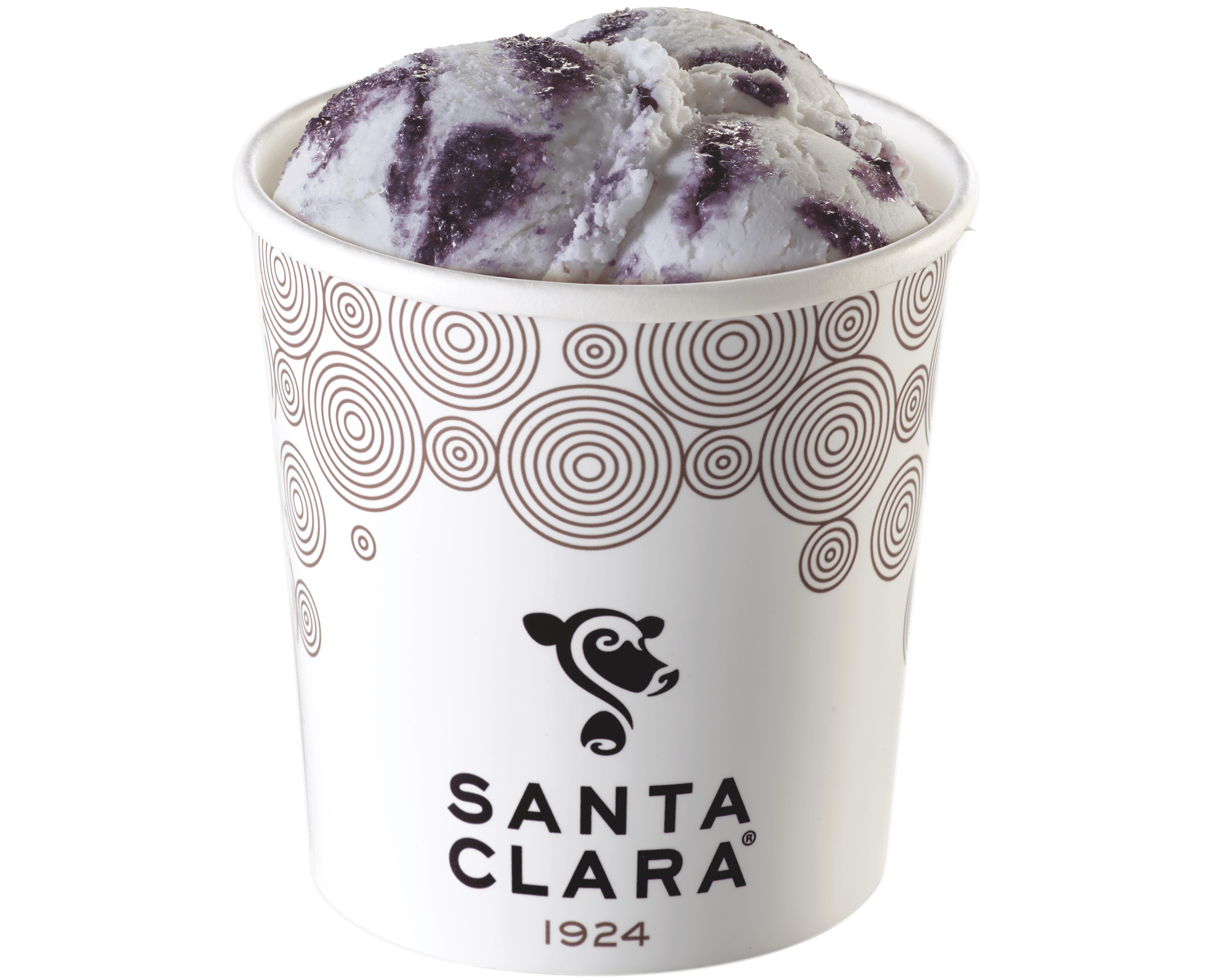 Pinta de Helado Gourmet