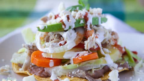 Tostada de Pollo