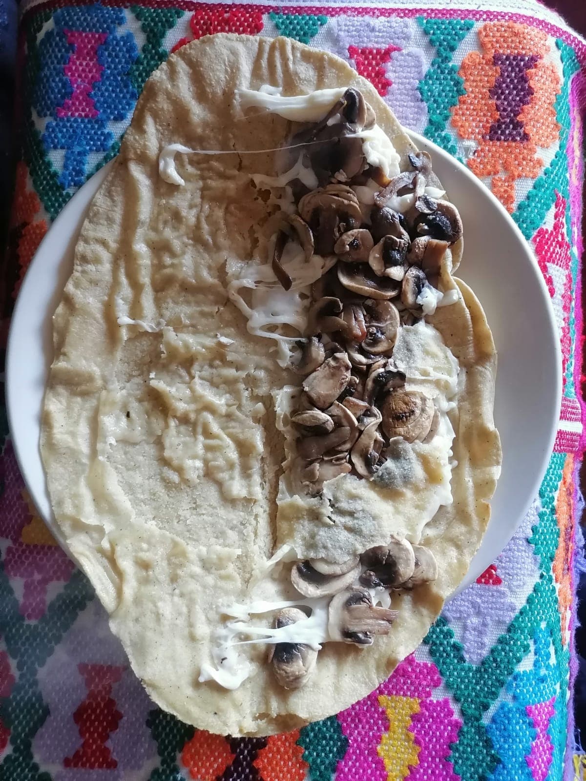 Quesadilla Gigante de Champiñón