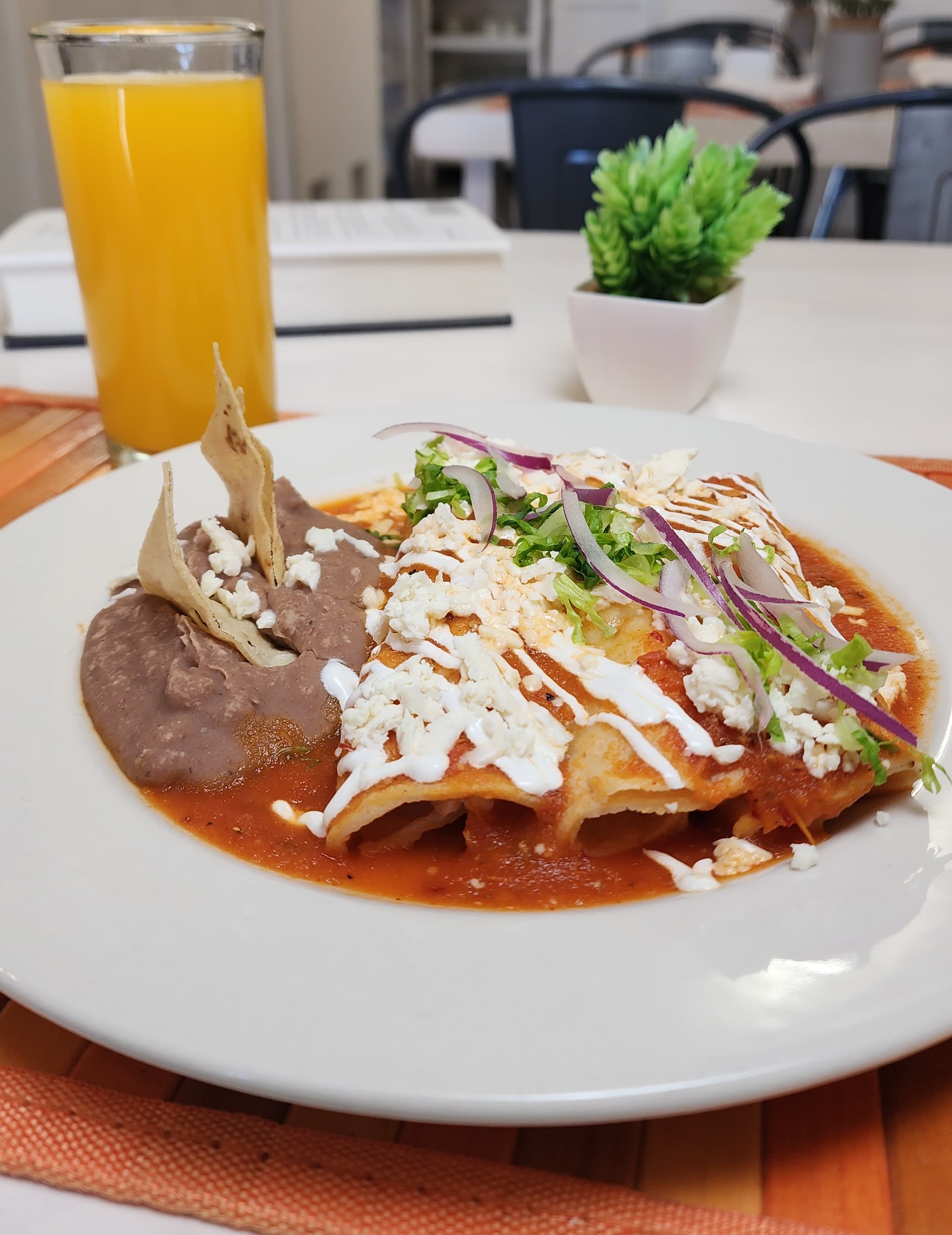Enchiladas de Pollo Verdes o Rojas