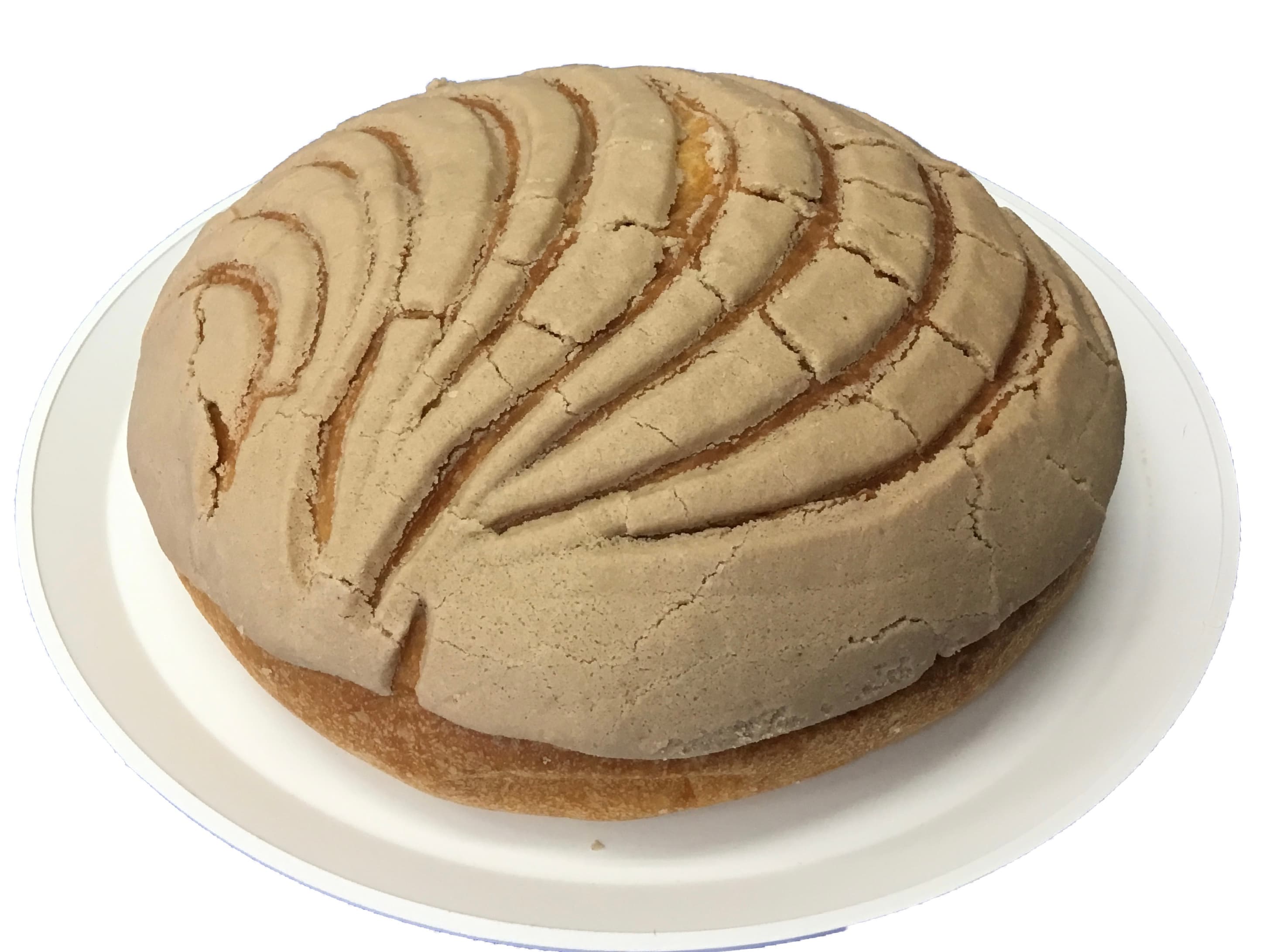 Conchas