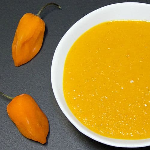 Dip Salsa Mango Habanero