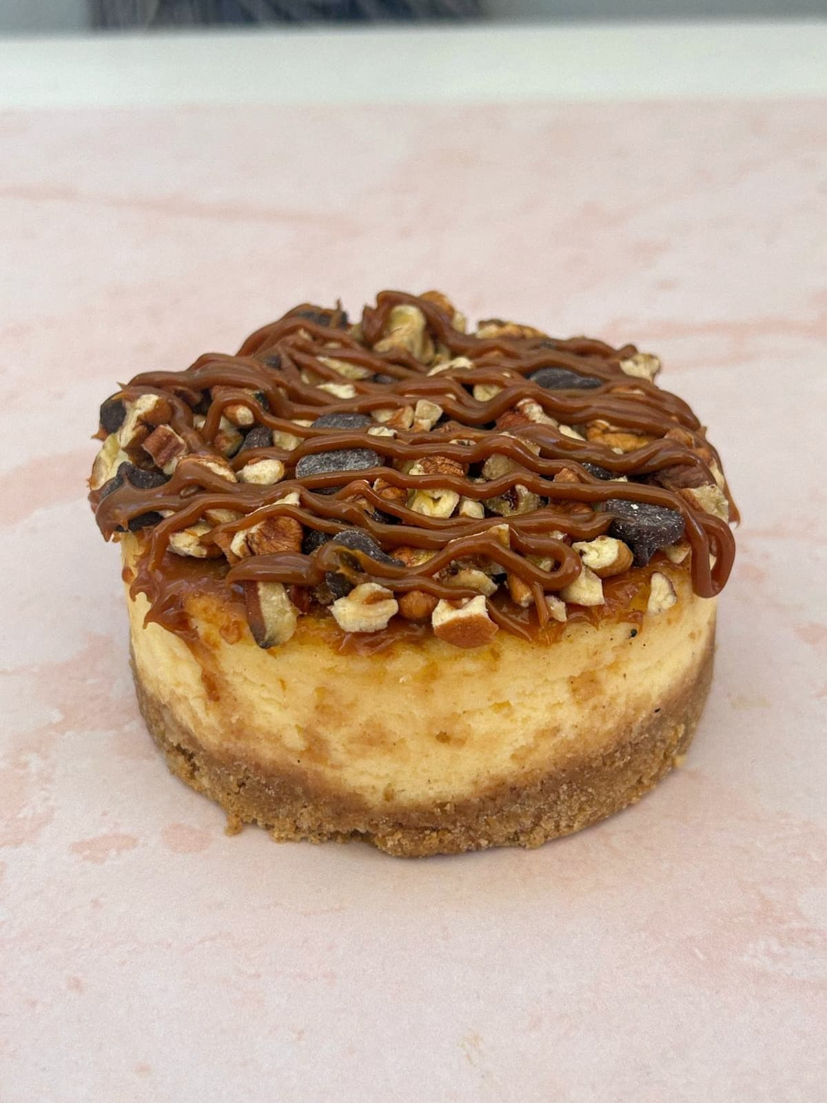Mini Cheescake Tortuga