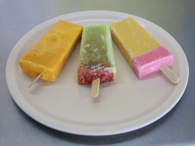 Paleta de Agua