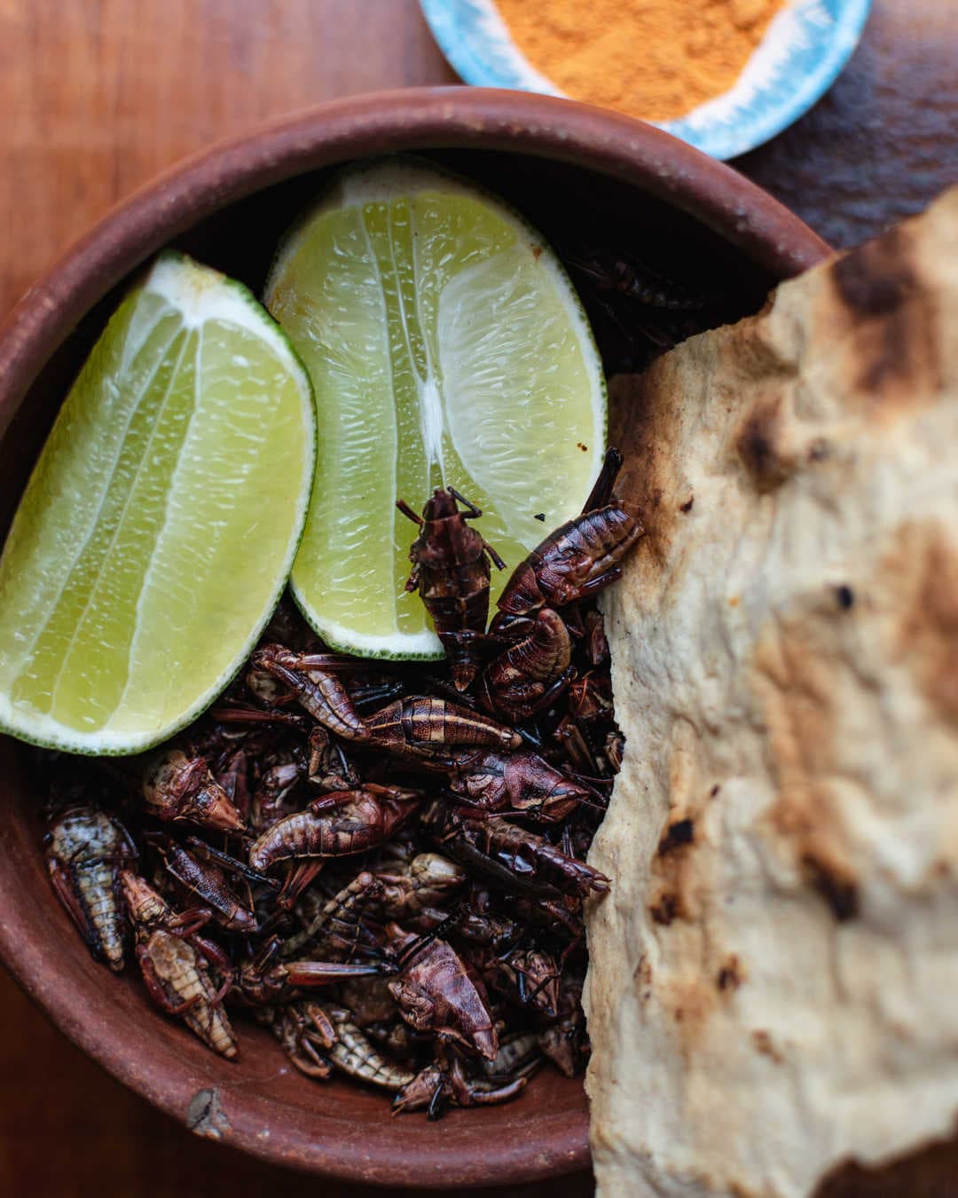 Chapulines
