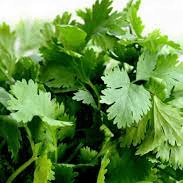 Extra Aderezo Cilantro