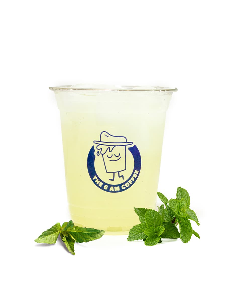 Refresher