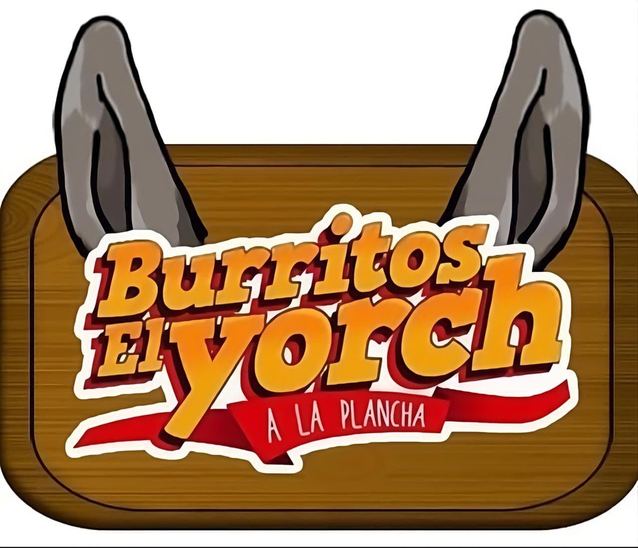 Burro Chiquilín