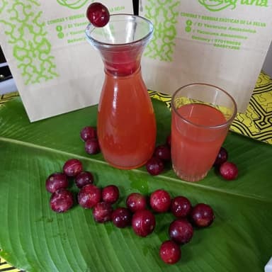 Refresco Camu-Camu (1 L.)