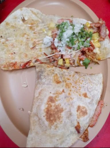 Lechuza de Arrachera