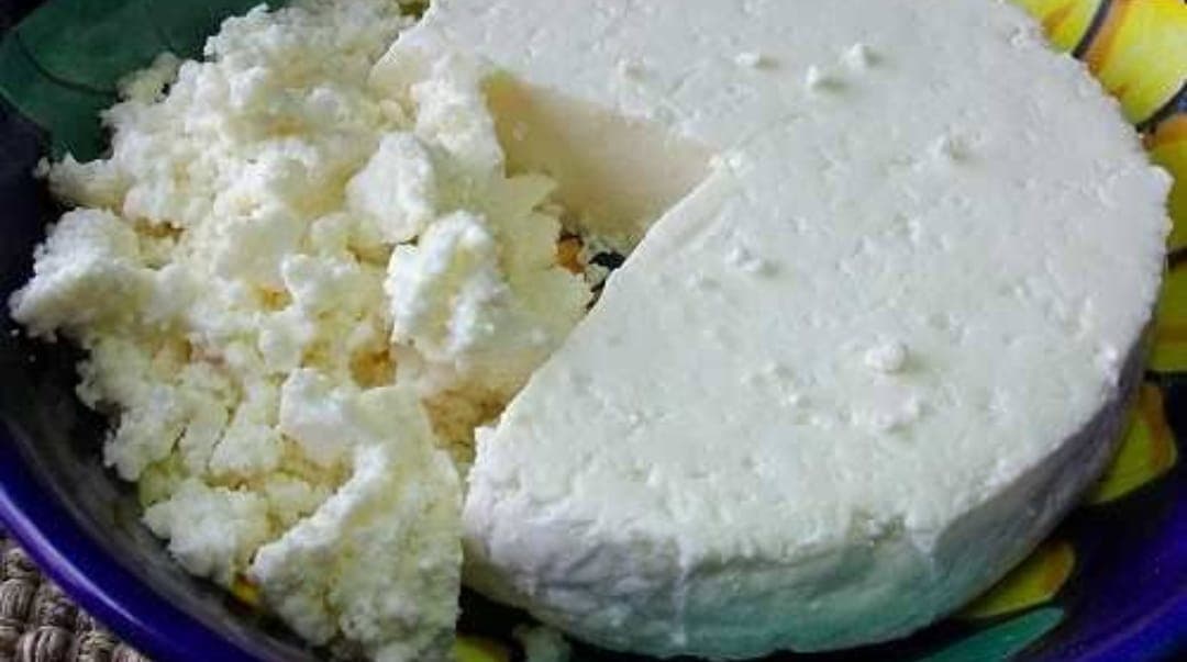Orden de Queso