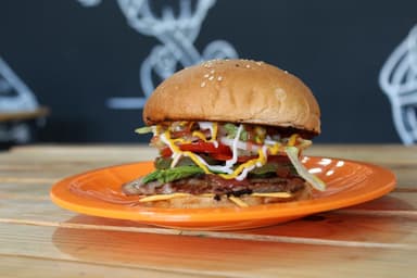 Hamburguesa sencilla